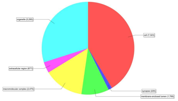 바다송사리 전사체 정보를 대상으로 한 GO 분석 결과. Cellular Component.