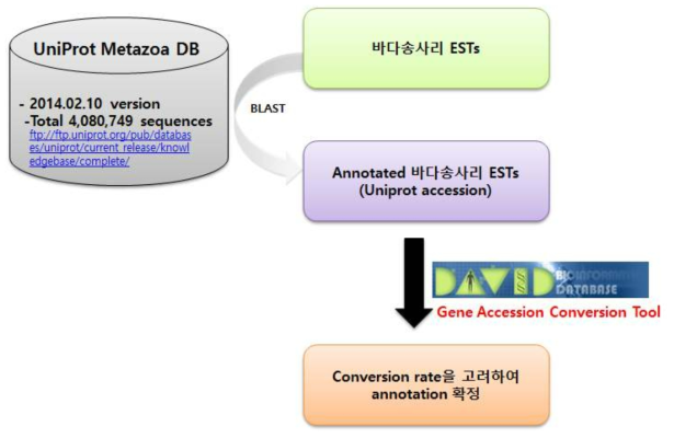 바다송사리 유전자 pathway 분석 기반 확립을 위한 흐름도