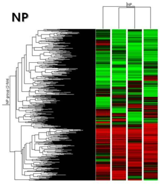 바다송사리 NP 노출대응 특이 유전자 프로파 일링 hierachical clustering. 20 μg/L의 농도로 12 h, 24 h, 48 h, 72 h 동안 노출함