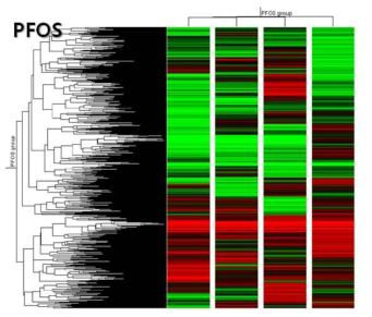 바다송사리 PFOS 노출대응 특이 유전자 프로 파일링 hierachical clustering. 90 μg/L의 농도로 12 h, 24 h, 48 h, 72 h 동안 노출함