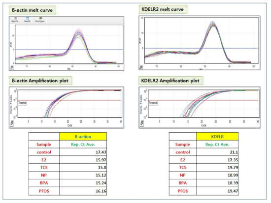 다섯 종류의 실험군에서 내부 control 유전자 2종의 qPCR 결과