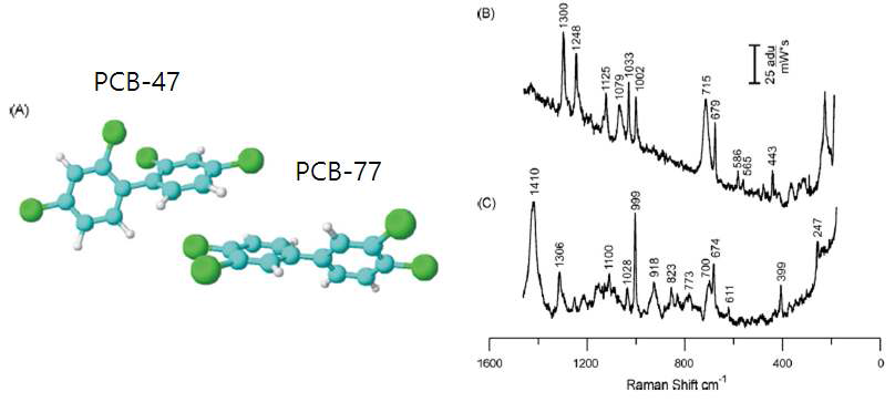 PCB의 분자 구조 및 측정된 라만 스펙트럼