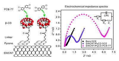 PCB에 대한 PyCD/SWCNT의 반응 개략도 및 임피던스 스펙트럼