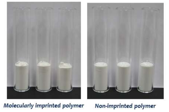 bulk polymerization 으로 합성한 MIP와 NIP