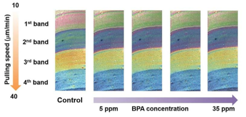 BPA 농도 변화에 따른 색 변화