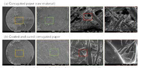 경화 공정 후 미세조직(corrugated paper와 PCS coating layer).