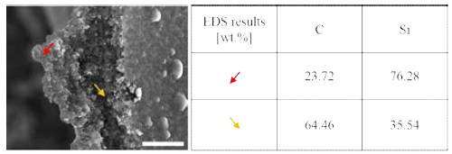 SiC foam의 단면에서의 위치별 EDS 결과