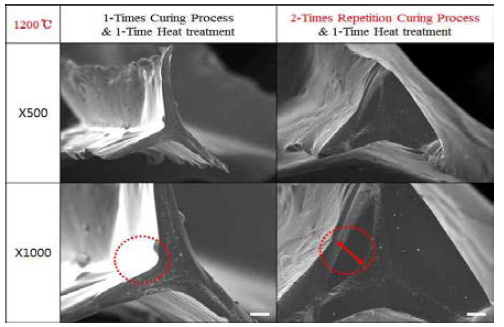 수정된 멀티코팅기법을 통한 SiC Foam에 대한 FE-SEM Images.