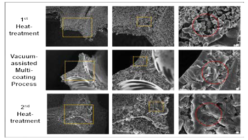 진공멀티코팅기법을 도입하여 제작한 SiC foam의 FE-SEM Images.