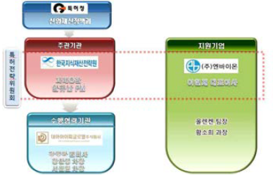 IP-R&D 전략지원사업 추진 체계