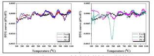 Fresh 촉매 및 현장 적용촉매 DTG 분석결과.