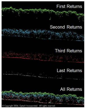 Return 데이터의 구조(산림식생)