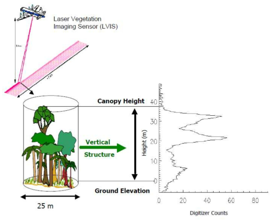 산림지역의 LiDAR Data의 구조