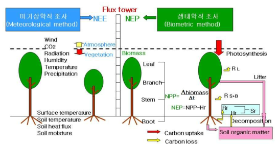 미기상측정과 생태적측정의 공동수행 모식도