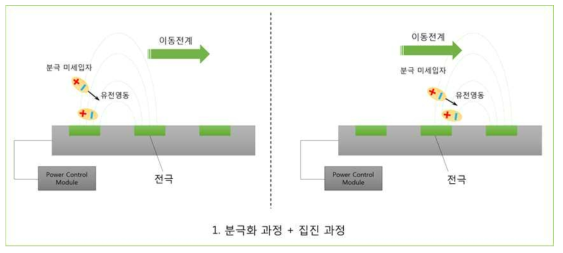 본 연구에서 개발하고자 하는 미세입자 분리기의 원리