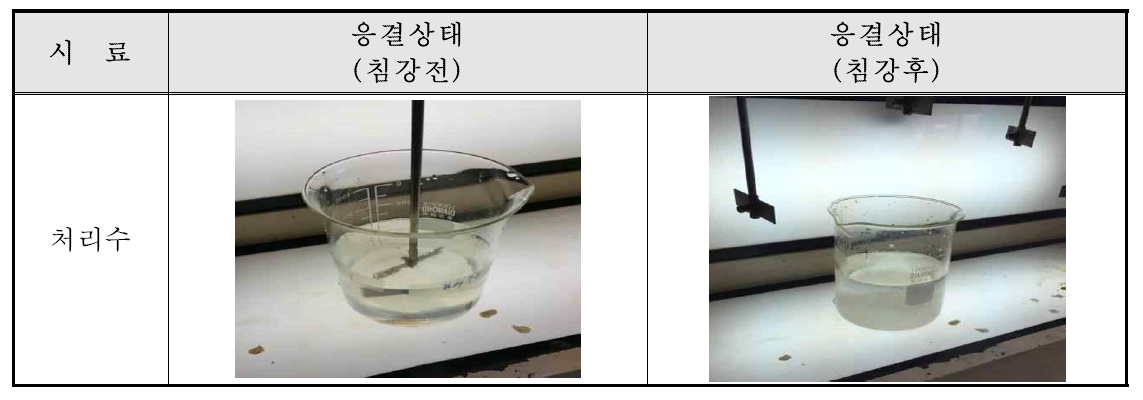 처리수 침강전과 후의 폴리머 응집상태 비교