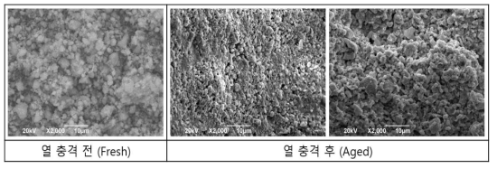 열적 충격을 받은 Aged 촉매의 SEM 사진