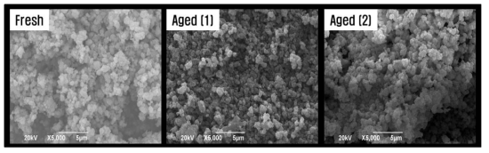 Fresh 촉매 및 Aged 촉매의 SEM