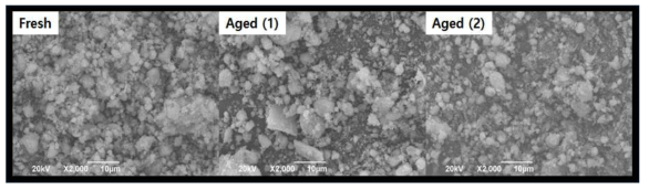 Fresh 촉매 및 Aged 촉매의 SEM