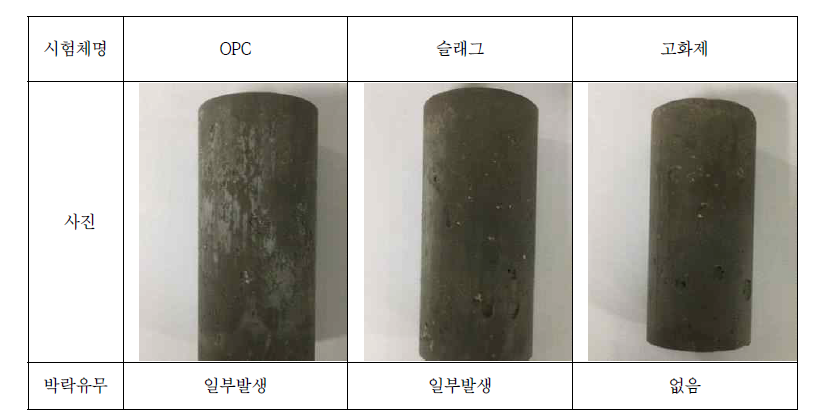 수중양생 3개월 시험체