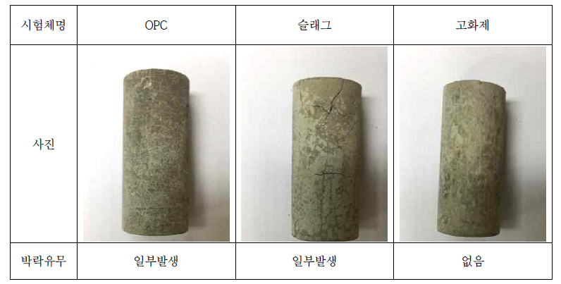 수중양생 5개월 시험체