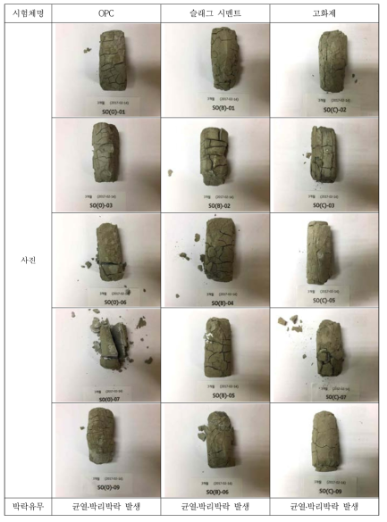 해양폭로 시험조건 3개월 시험체(105℃조건에서 완전 건조)