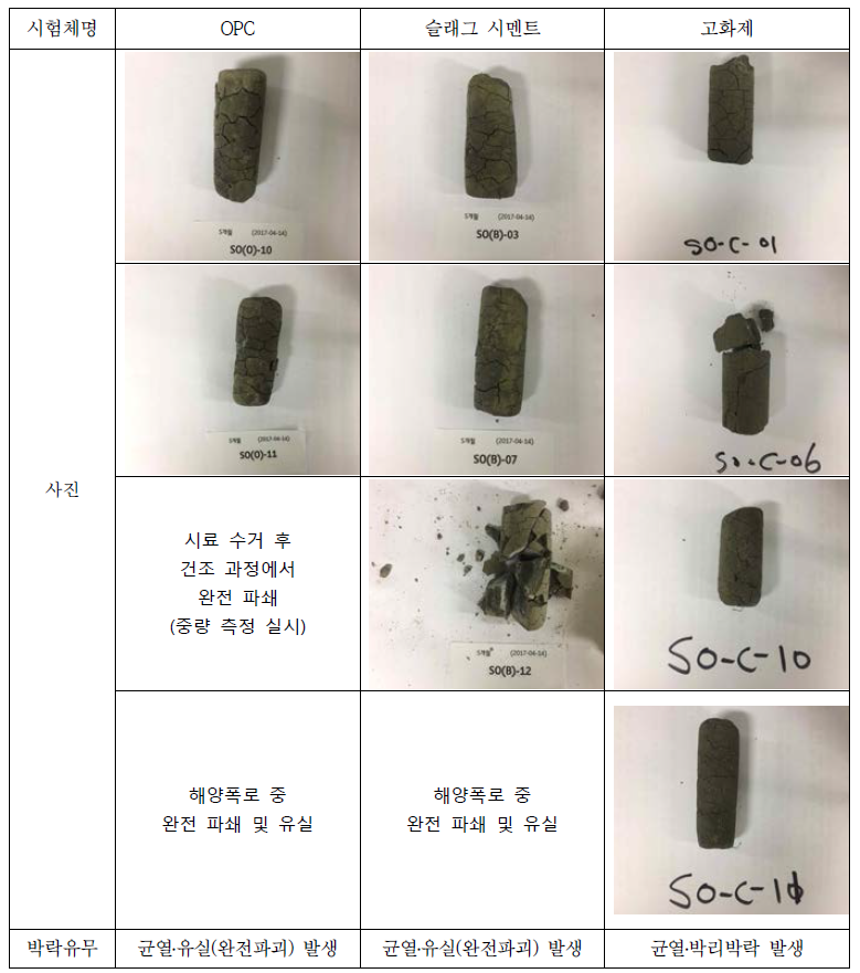 해양폭로 시험조건 5개월 시험체(105℃조건에서 완전 건조)