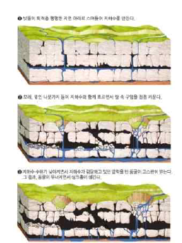 싱크홀 발생 원인(빗물 침투에 의해 형성된 지하수 유출)