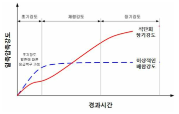 석탄회의 초기강도 및 장기강도