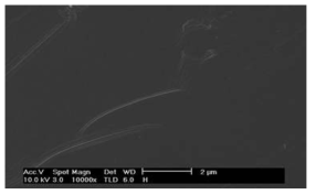 IR 건조를 통하여 제조된 CDI 전극의 표면 현미경 사진