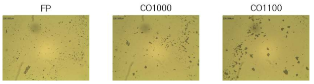 (주)동양탄소에서 개발한 CDI용 활성탄소 분말의 현미경 사진.