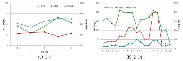 BOD5 제거 성능