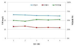 T-N 제거 성능