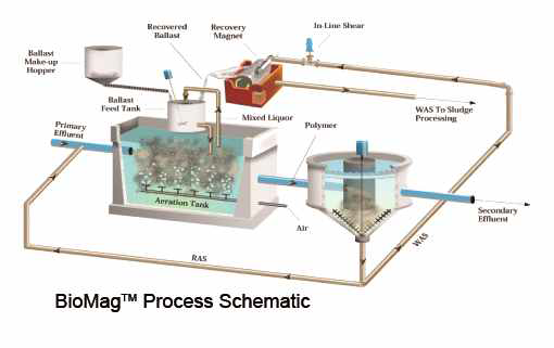 Biomag Process 공정도