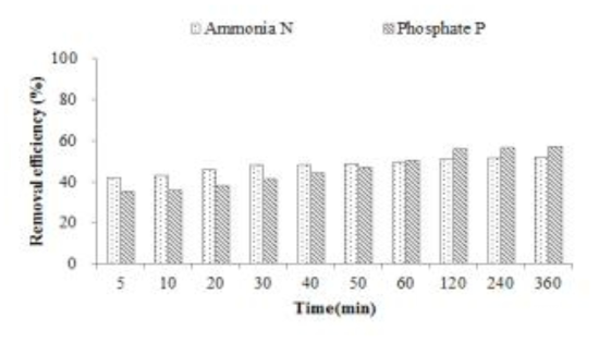 pH 6에서의 체류시간에 따른 질소와 인의 제거효율 변화.