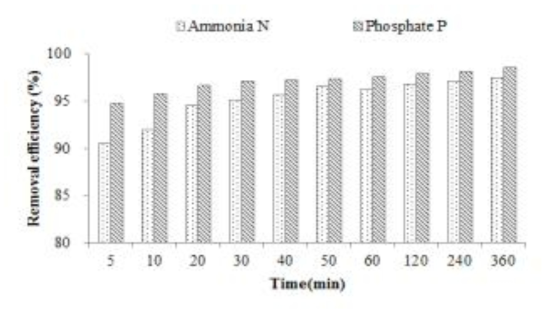 pH 9에서의 체류시간에 따른 질소와 인의 제거효율 변화.