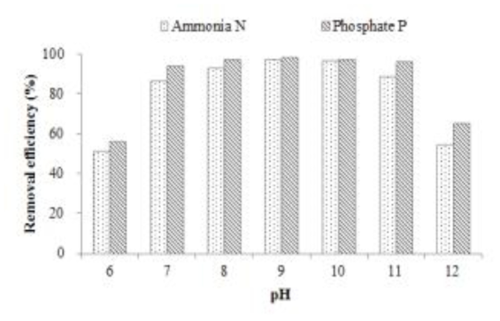 합성폐수의 pH에 따른 질소와 인의 제거효율 변화.