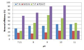 pH 변화에 따른 NH3-N, PO4 3--P 제거율