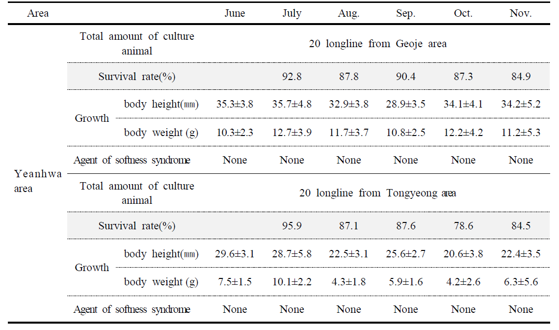 Changes of survival rate, growth and infection of tunic-softness syndrome of Halocynthia roretzi after transplantion of Halocynthia roretzi from Geoje and Tongyeong area to Yeanhwa area