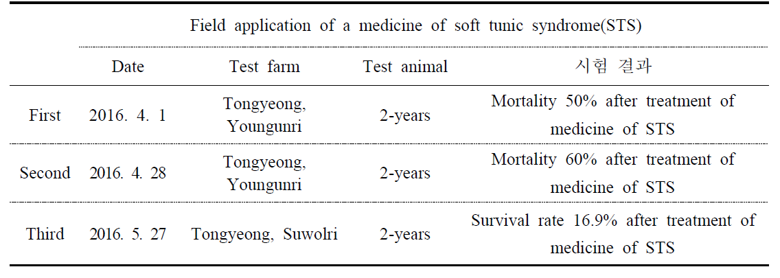 Field application of a medicine of soft tunic syndrome (STS) for control of STS in the sea squirt farm