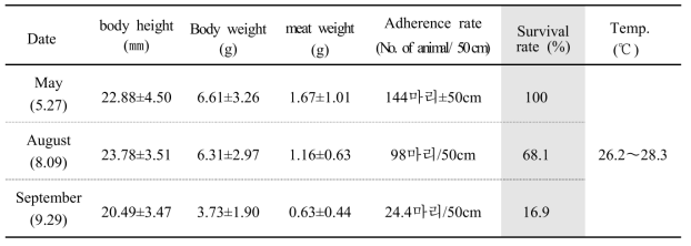 Adherence and survival rate of Halocynthia roretzi after treatment of the medicine of tunic-softness syndrome