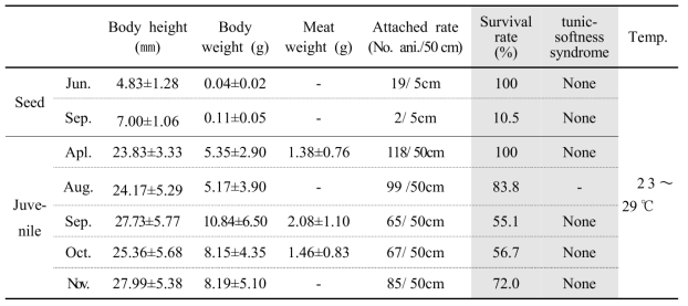Survival rate and juvenile sea squirt in Research and training fishing farm located in Yeonhwa-ri, Tongyeong City, Gyeongnam