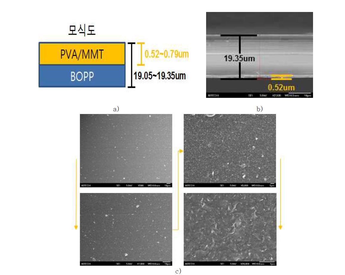 PVA/MMT 코팅된 필름의 SEM image