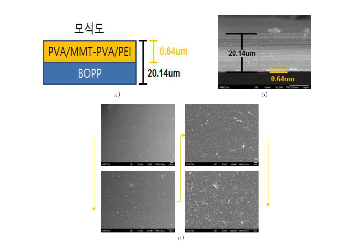 PVA/MMT-PVA/PEI 코팅된 필름의 SEM image
