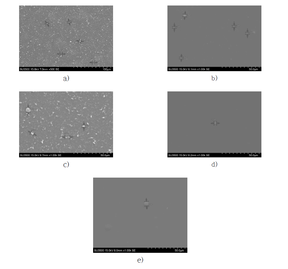 표면 코팅 상태 SEM 촬영