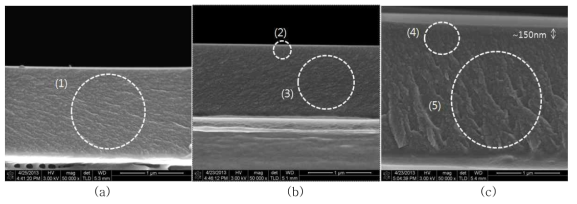 유기/무기 하이브리드 코팅층 및 경사조성형 기체차단막의 단면 SEM 사진;(a) 유기/무기 하이브리드 코팅층, (b) 경사조성형 기체차단막 I, (c) 경사조성형 기체차단막 II
