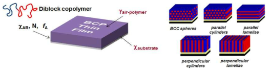 SIS block copolymer thin film의 나노 구조 모식도