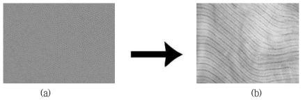 Solvent annealing에 따른 나노 구조 변화 : (a) Toluene vapor treatment, (b) Chloroform, Acetone vapor treatment