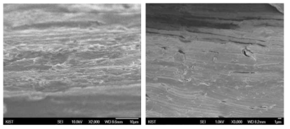 SIS 블록공중합체와 Graphene oxide 복합체 필름의 단면