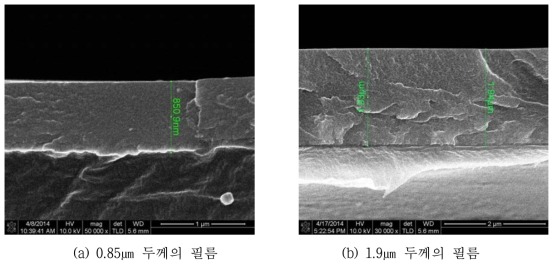 대면적 wet coating한 필름의 단면 SEM 사진(PET film)